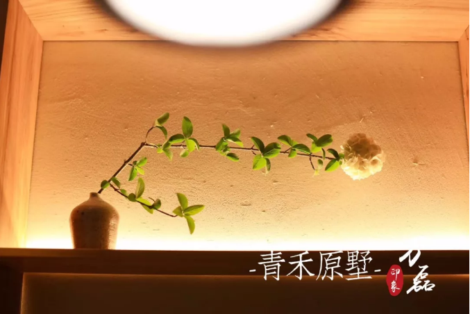 好色先生TV下载安装印象 | 赋予浙江青禾原墅VillablueTree本色气息